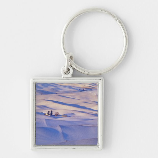 View from Steptoe Butte of rolling hills Key Ring (Front)