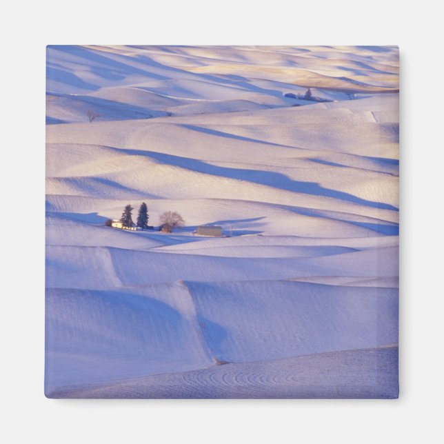 View from Steptoe Butte of rolling hills Magnet (Front)