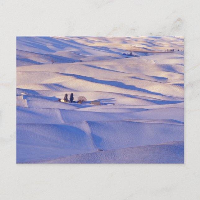 View from Steptoe Butte of rolling hills Postcard (Front)