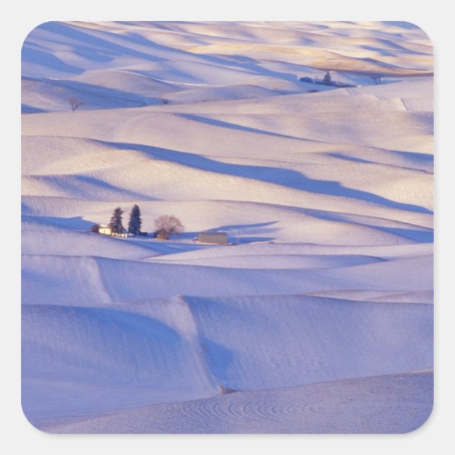 View from Steptoe Butte of rolling hills Square Sticker (Front)