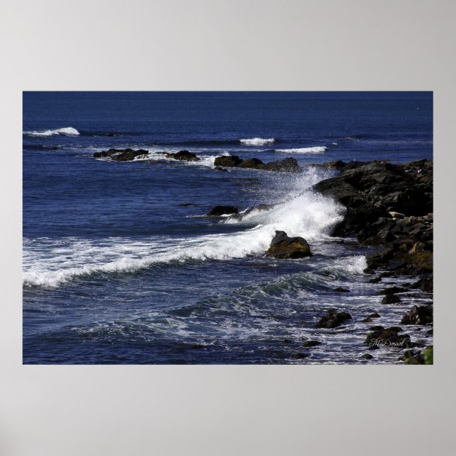View from the Cliffwalk Poster (Front)
