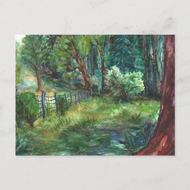 "View from the Lodge." Postcard (Front)