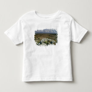 View from Troy of the surrounding landscape Toddler T-Shirt