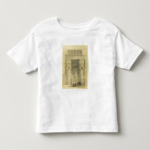 View from under the Portico of the Temple at Denda Toddler T-Shirt