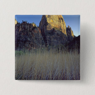 View from Virgin River flood plain, Zion Canyon 15 Cm Square Badge