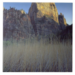 View from Virgin River flood plain, Zion Canyon Ceramic Tile