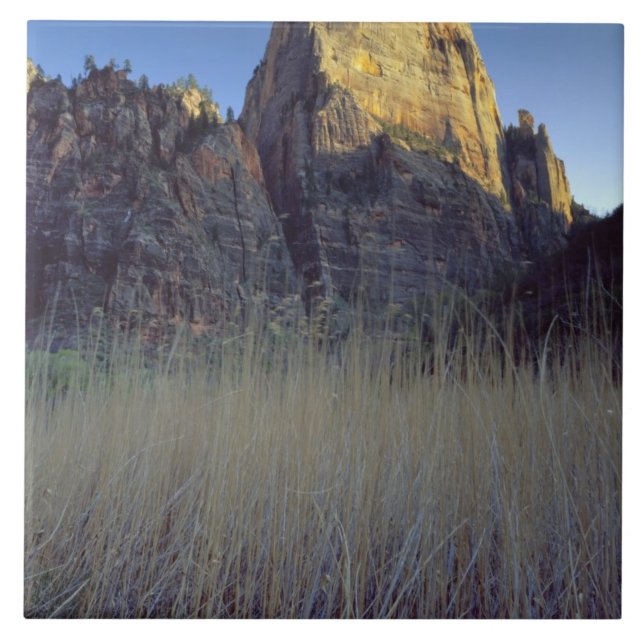 View from Virgin River flood plain, Zion Canyon Ceramic Tile (Front)