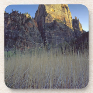 View from Virgin River flood plain, Zion Canyon Coaster