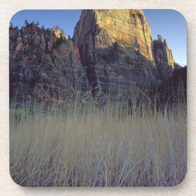 View from Virgin River flood plain, Zion Canyon Coaster (Front)