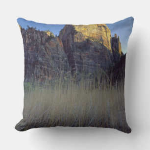 View from Virgin River flood plain, Zion Canyon Cushion