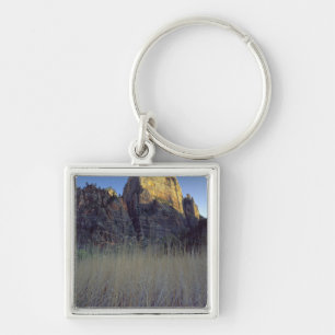 View from Virgin River flood plain, Zion Canyon Key Ring