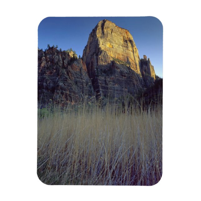 View from Virgin River flood plain, Zion Canyon Magnet (Vertical)