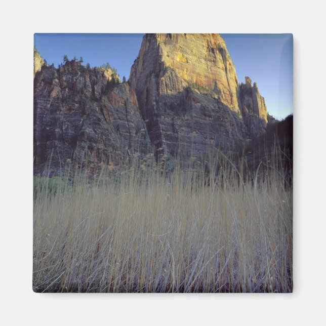 View from Virgin River flood plain, Zion Canyon Magnet (Front)