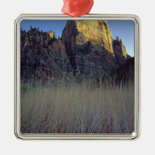 View from Virgin River flood plain, Zion Canyon Metal Tree Decoration