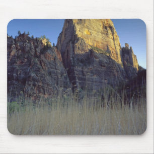 View from Virgin River flood plain, Zion Canyon Mouse Pad