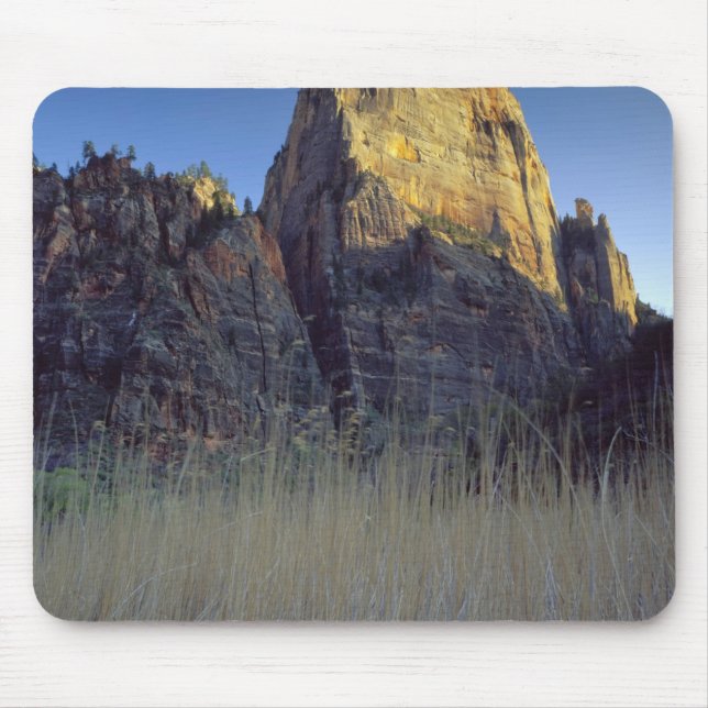 View from Virgin River flood plain, Zion Canyon Mouse Pad (Front)
