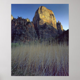 View from Virgin River flood plain, Zion Canyon Poster