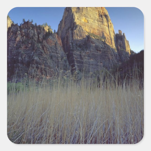 View from Virgin River flood plain, Zion Canyon Square Sticker (Front)