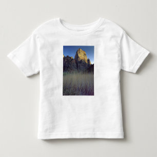 View from Virgin River flood plain, Zion Canyon Toddler T-Shirt