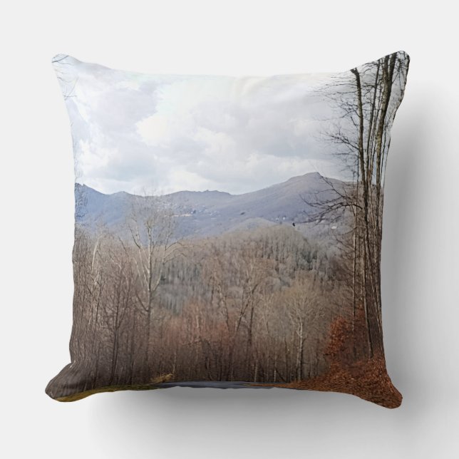 View in the Mountains Cushion (Front)