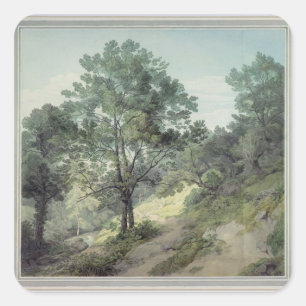 View near Cantonteign, Devon Square Sticker