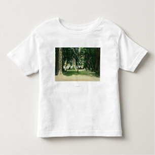 View of a Camp in the Redwoods Toddler T-Shirt