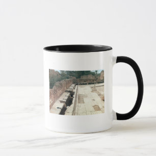 View of a communal lavatory mug