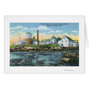 View of a Fish Hatchery, Lobster Rearing