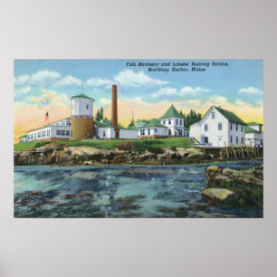 View of a Fish Hatchery, Lobster Rearing Poster