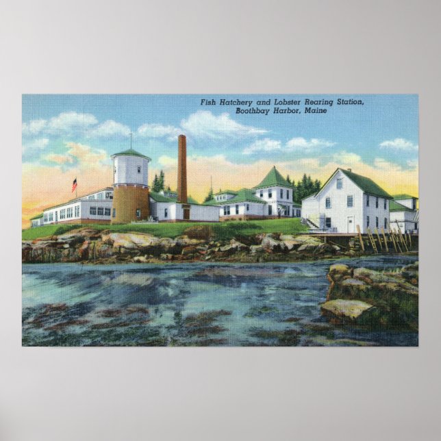 View of a Fish Hatchery, Lobster Rearing Poster (Front)