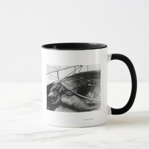 View of a Giant Sea Turtle in Captivity Mug
