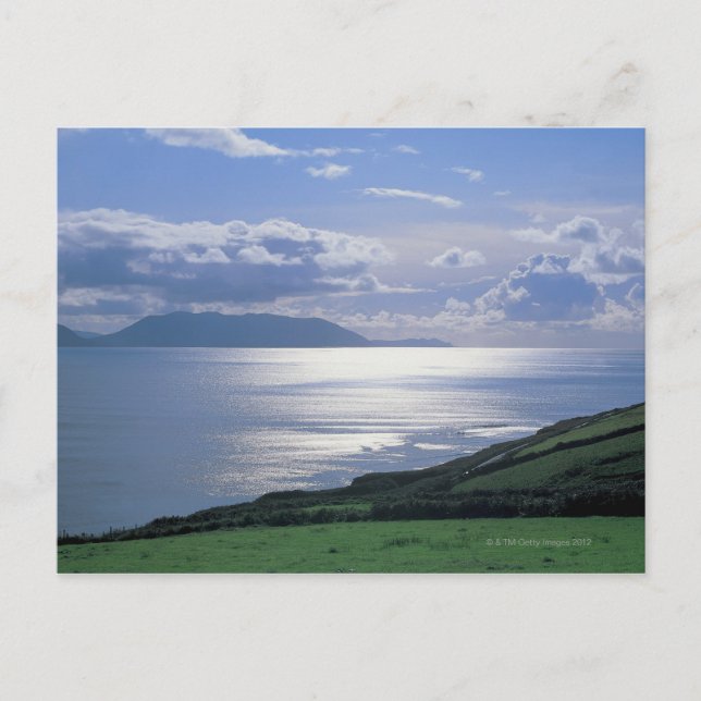 view of a grassy slope by the sea postcard (Front)