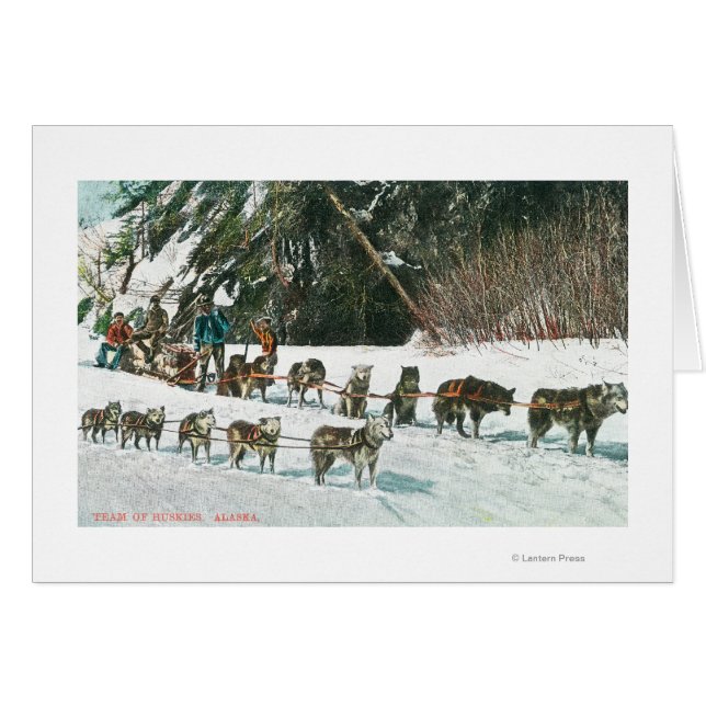 View of a Husky Dog-Sled Team (Front Horizontal)
