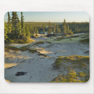 View of a lake and the surrounding sand hills, mouse pad