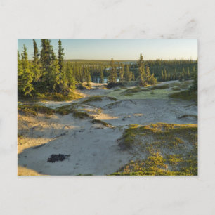 View of a lake and the surrounding sand hills, postcard
