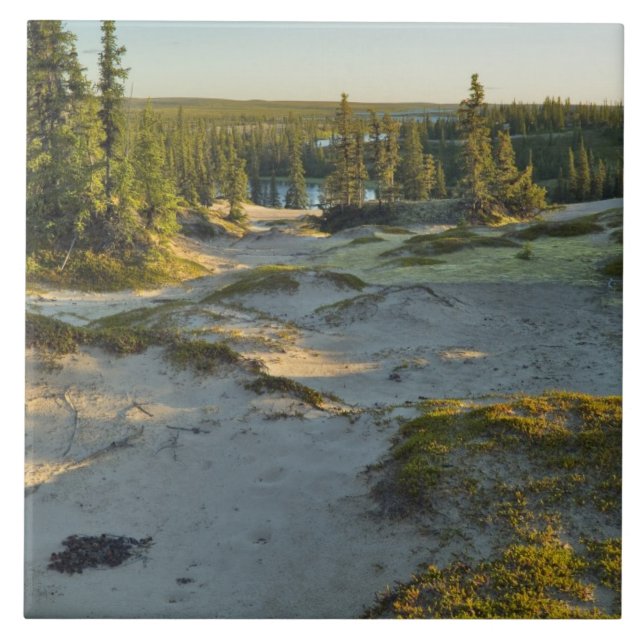 View of a lake and the surrounding sand hills, tile (Front)