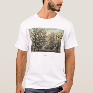 View of a Prune Orchard of 300,000 Trees T-Shirt