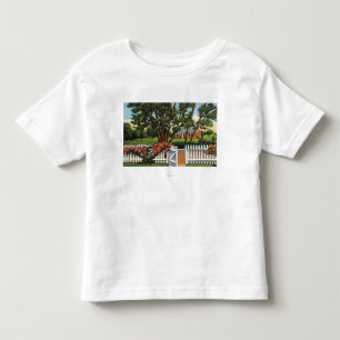View of a Quaint Residence Toddler T-Shirt