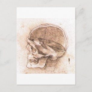 View of a Skull by Leonardo Da Vinci circa 1489 Postcard