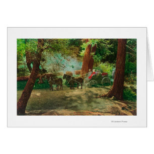 View of a Stage Coach Amongst Big Trees