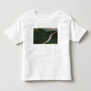 View of a Steep Grade on Memorial Hwy Toddler T-Shirt