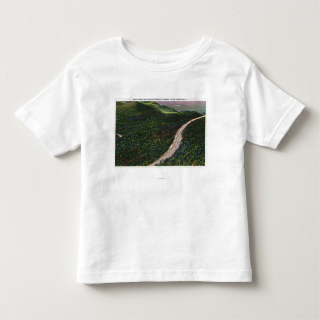 View of a Steep Grade on Memorial Hwy Toddler T-Shirt (Front)