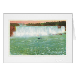 View of American Falls