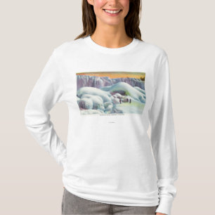 View of American Falls in Winter T-Shirt