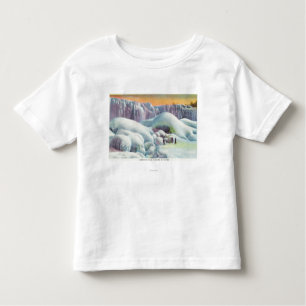 View of American Falls in Winter Toddler T-Shirt