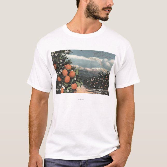 View of an Orange Orchard with Mountains T-Shirt (Front)