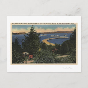 View of Aquatic Park Promenade & Pier Postcard