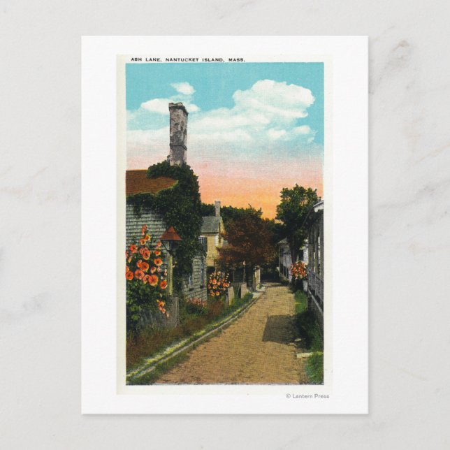 View of Ash Lane Postcard (Front)