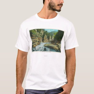 View of Ausable Chasm near Elephant's Head T-Shirt