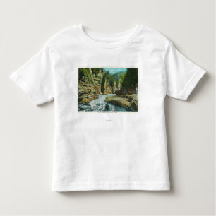 View of Ausable Chasm near Elephant's Head Toddler T-Shirt